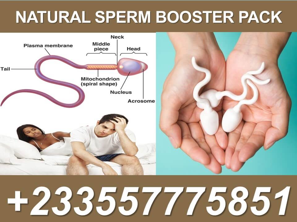 Fertility Cleansing Kit for Men